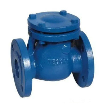 Клапан Tecofi CB3240 DN 250 обратный створчатый фланцевый PN 10